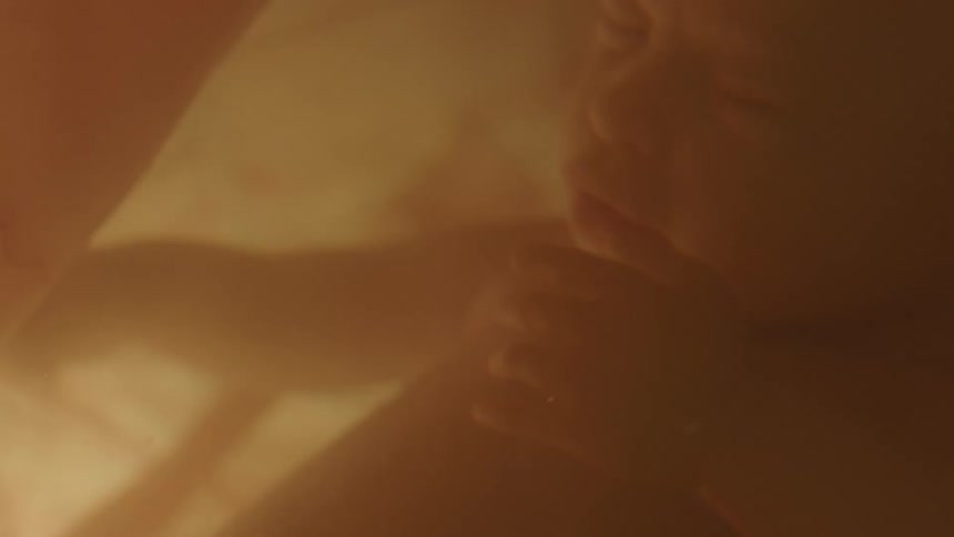A fully developed fetus floats in amniotic fluid inside of a uterus