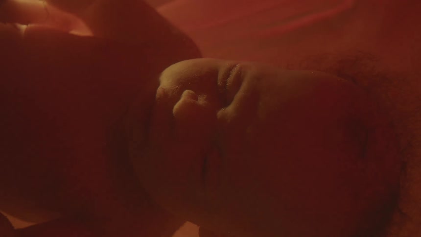 An infant is shown in the womb of a pregnant woman