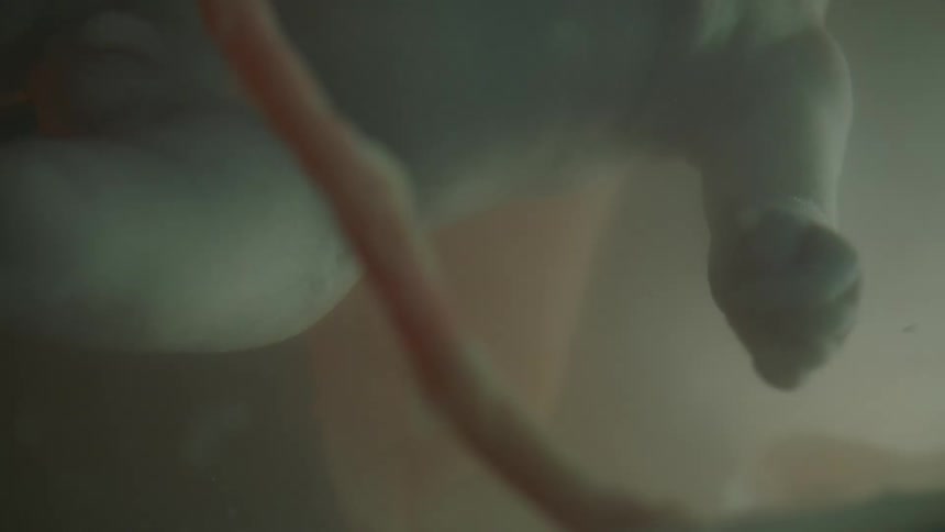 Baby with the umbilical cord connecting the baby to its mother in mothers womb