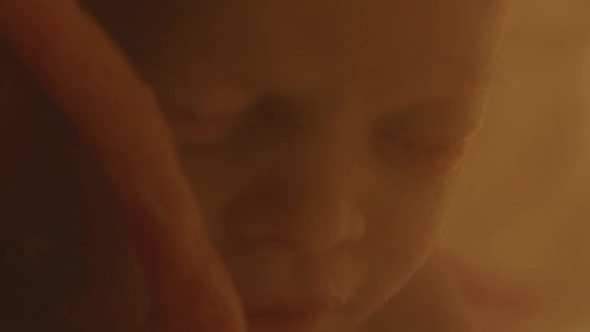 Unborn human baby floating in amniotic liquid inside the womb