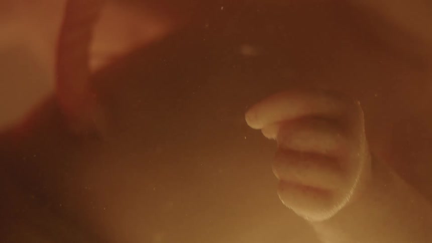 Close up of unborn babys hands and umbilical cord in the womb