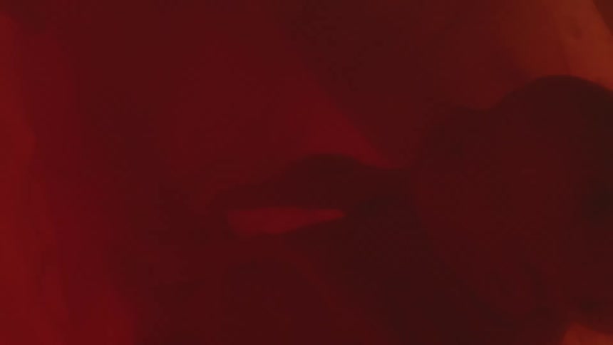 An unborn baby in a womb