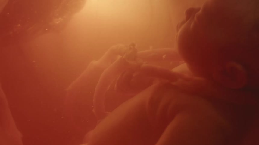 A fetus floating in utero