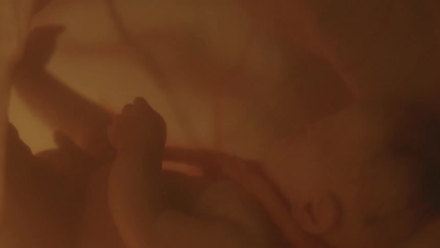 A fetus is shown in a mothers womb