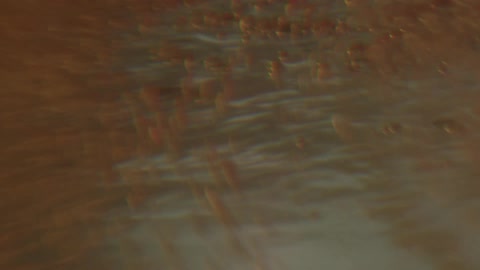 Liquid with little particles moving with the water surface showing