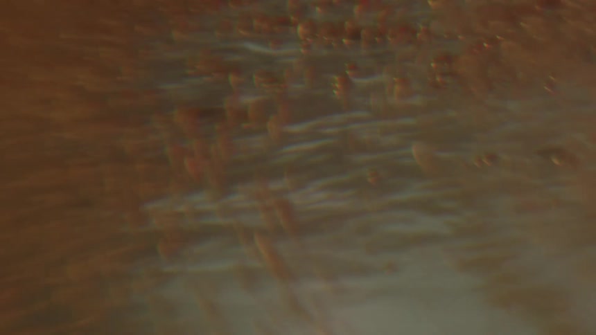 Liquid with little particles moving with the water surface showing