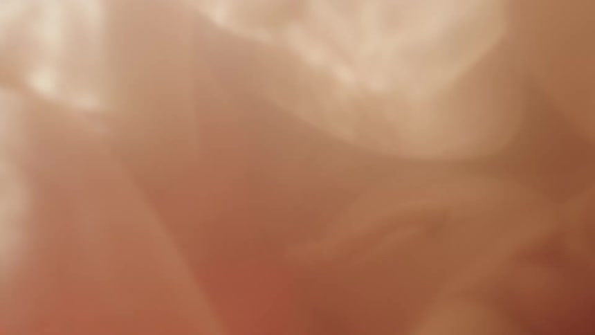 Unborn baby in the womb