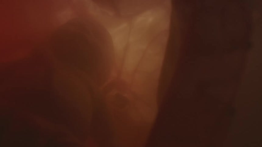 A baby with gauzy layers and bursts of light