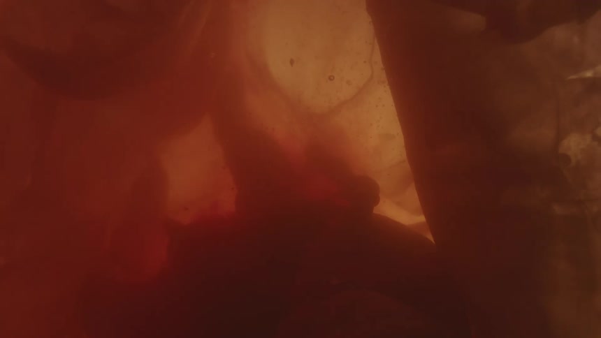 Unborn human baby floating in the amniotic liquid inside the placenta on the womb