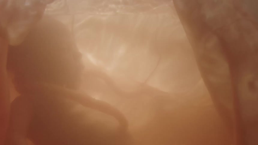 A fetus floats in amniotic fluid inside a stomach