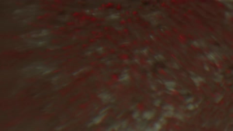 A close up of a liquid that shimmers and bubbles and it is mixed around