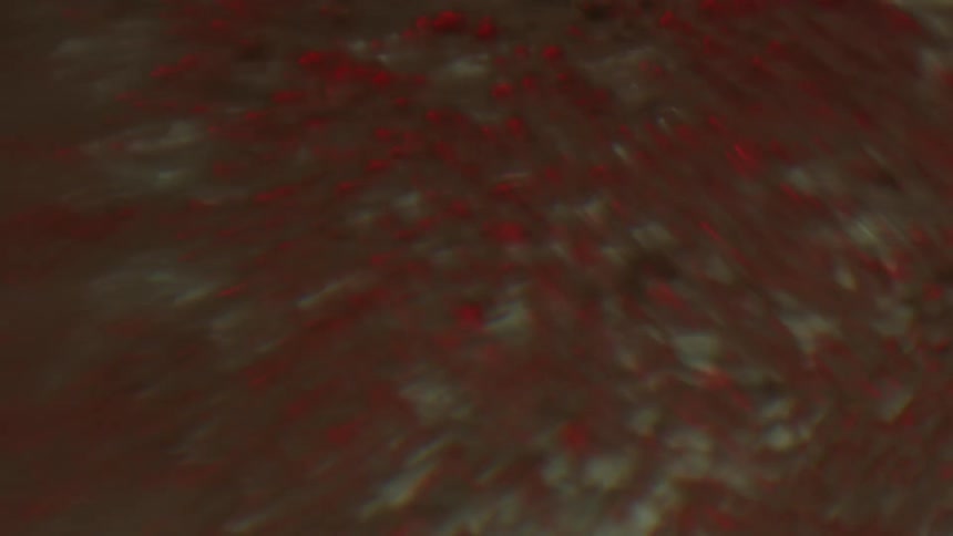 A close up of a liquid that shimmers and bubbles and it is mixed around