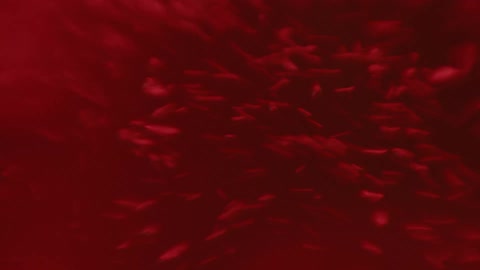 Red bubbling liquid