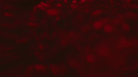 Close up out of focus red cells bubbles blobs streaming in a liquid