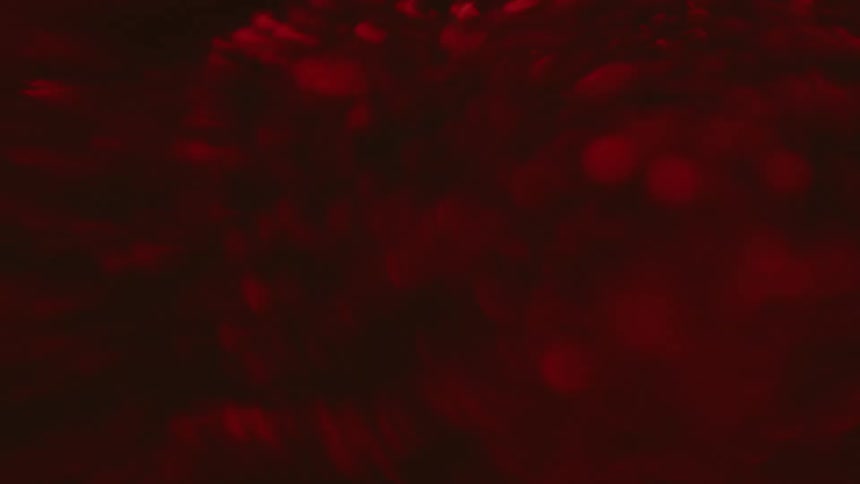 Close up out of focus red cells bubbles blobs streaming in a liquid