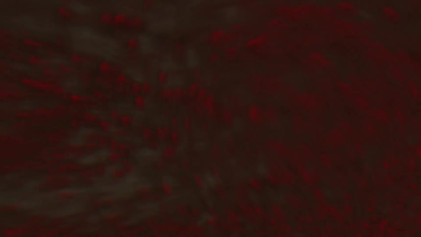 Liquid in red then white foam with bubbles