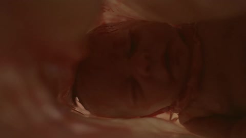 A fetus at nearly full term is shown inside a womb