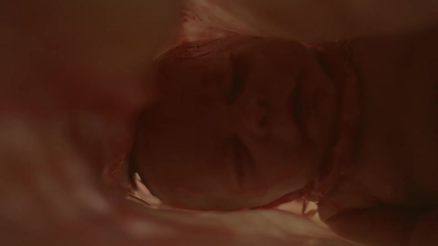 A fetus at nearly full term is shown inside a womb