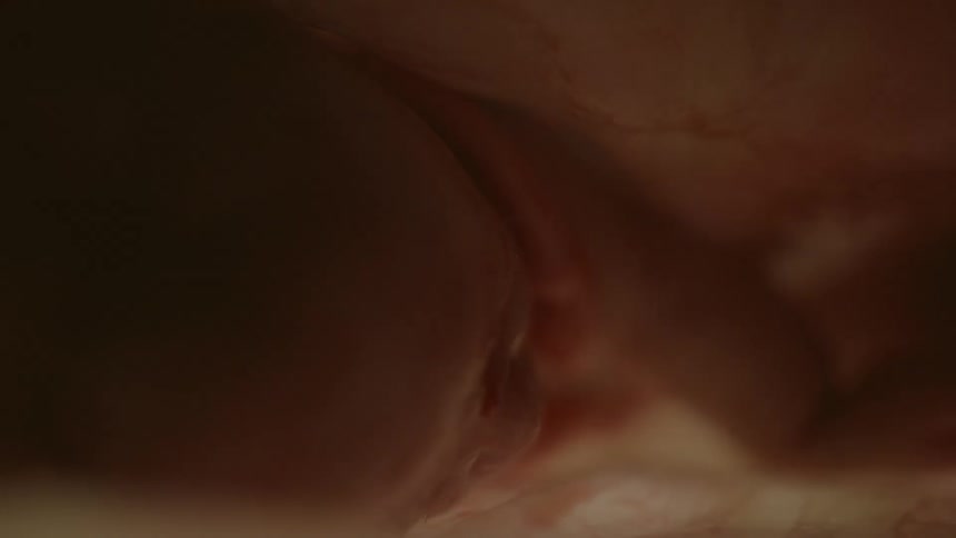 A fetus sleeping in a womb