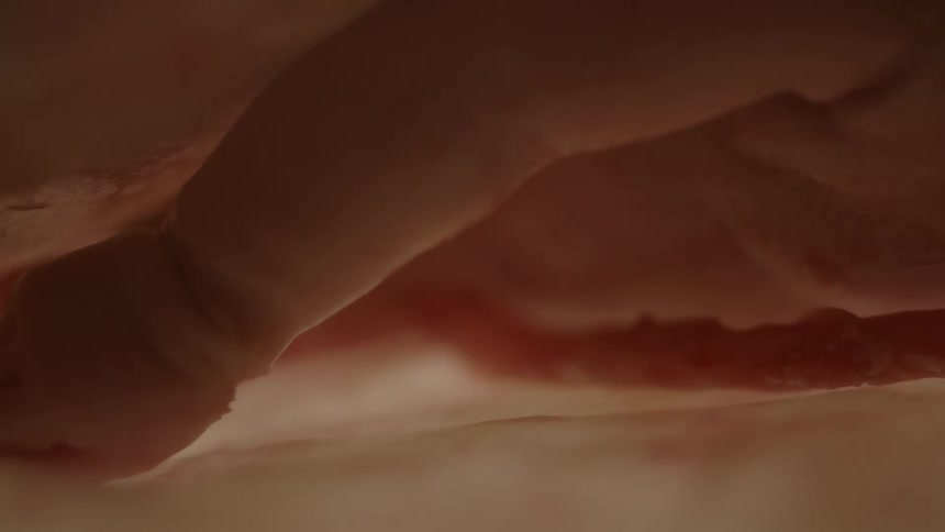 An fetus in a womb