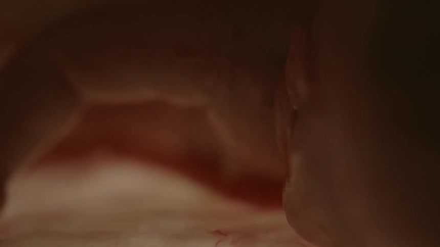 Silhouette of unborn human baby fetus floating inside the womb