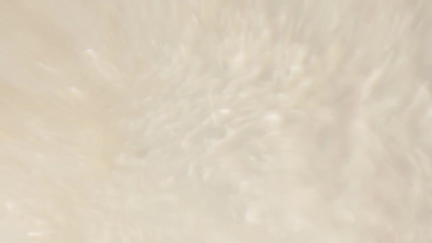 Liquid is moving rapidly and swirling around creating bubbles