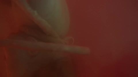 Unborn baby with the cord wrapping around the babys neck in the womb