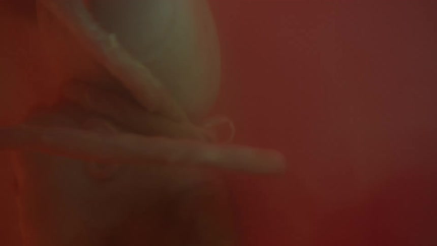 Unborn baby with the cord wrapping around the babys neck in the womb