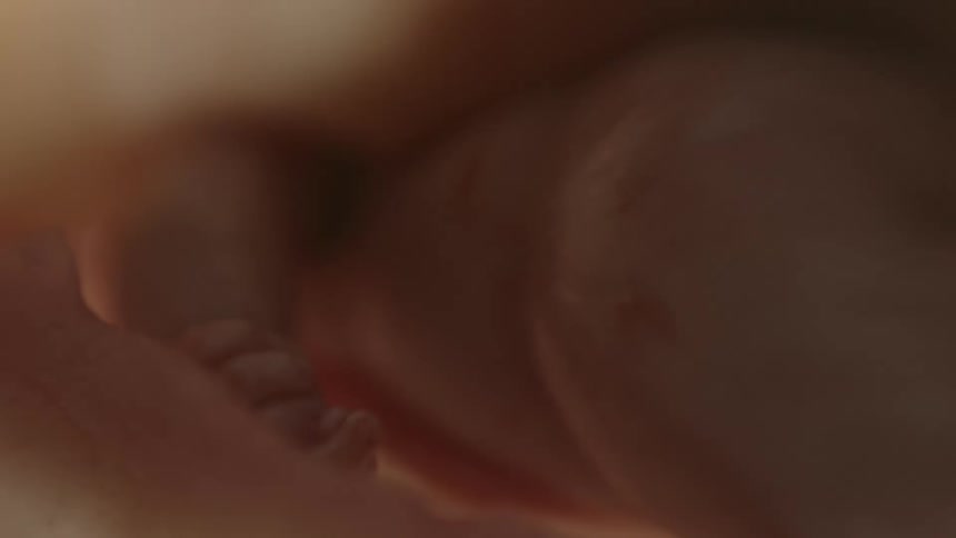 Close up of unborn babys legs and arms in the womb
