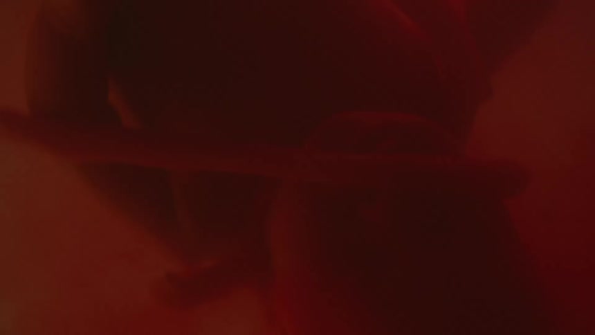 A fetus and umbilical cord floating in utero