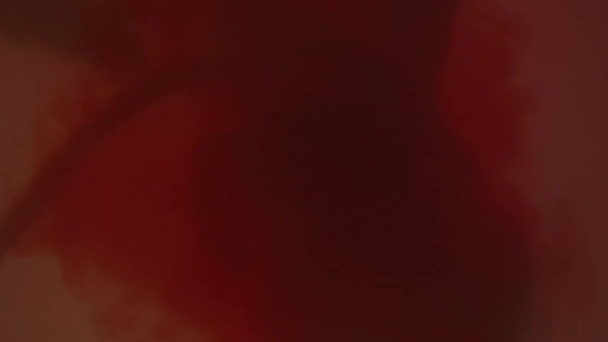 Unborn baby with umbilical cord in the womb