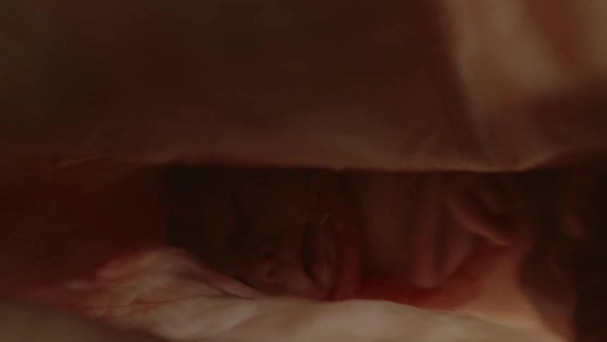 Unborn babys face and cord in the womb