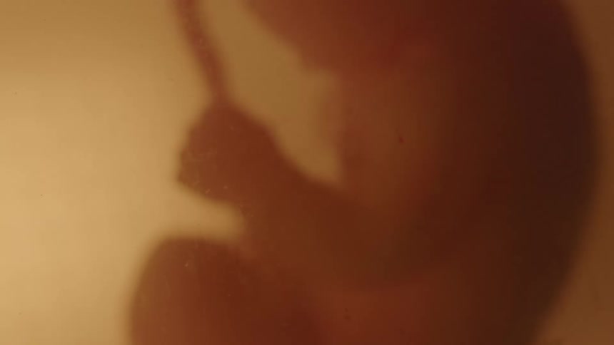 A baby is in a mothers womb