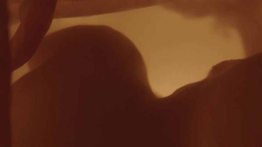 Unborn baby with the umbilical cord in the womb