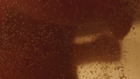 A fetus floats in fluid with bubbles