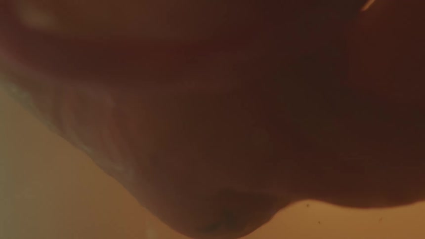Light shines past embryo rotating and floating in fluid