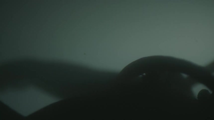 Unborn baby is silhouetted in the womb