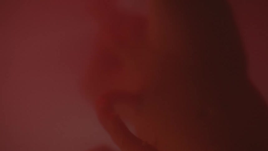 A fetus can be seen floating inside of a uterus full of amniotic fluid