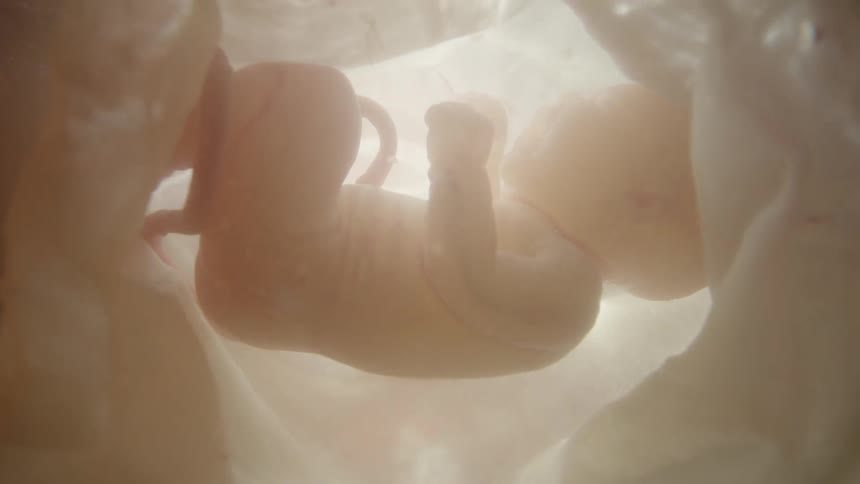 An unborn baby floating in fluid as light shines outside the womb