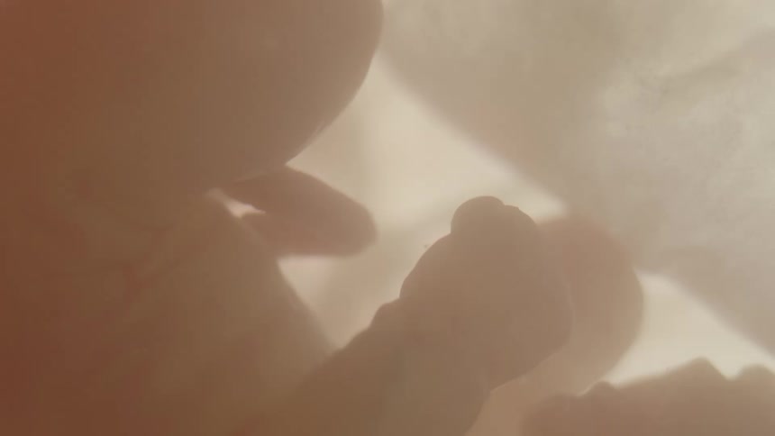 A light glows through the membrane onto an unborn baby in fluid