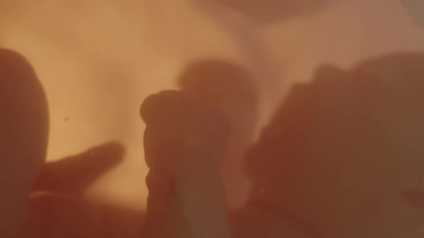 Close up of unborn baby in the womb