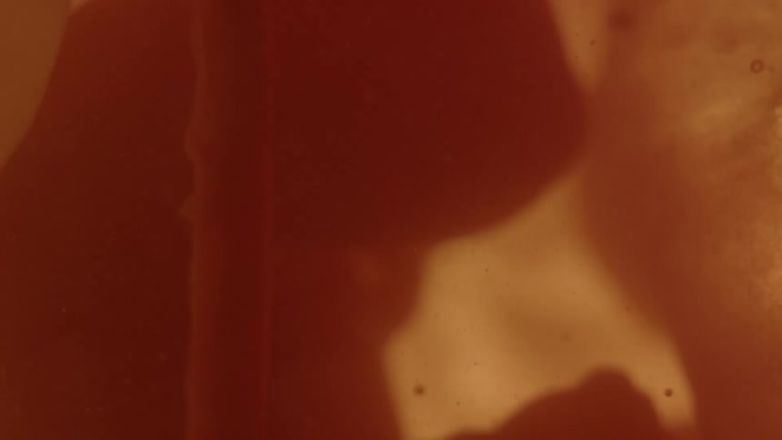 A fetus calmly floats inside of a uterus full of amniotic fluid