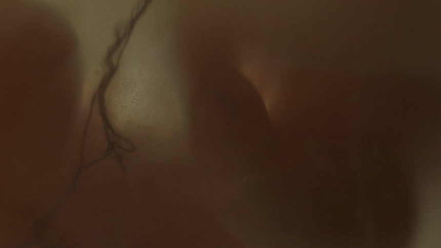 A fetus floating in utero