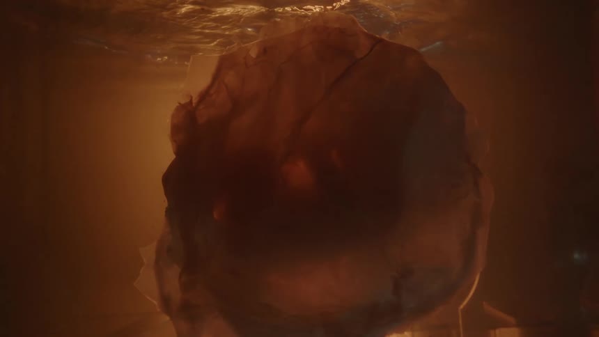 Unborn human baby inside the placenta floating in a tank
