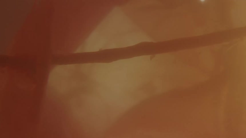Unborn baby with umbilical cord in the womb
