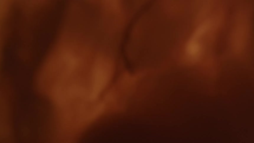 Unborn baby moving in the womb