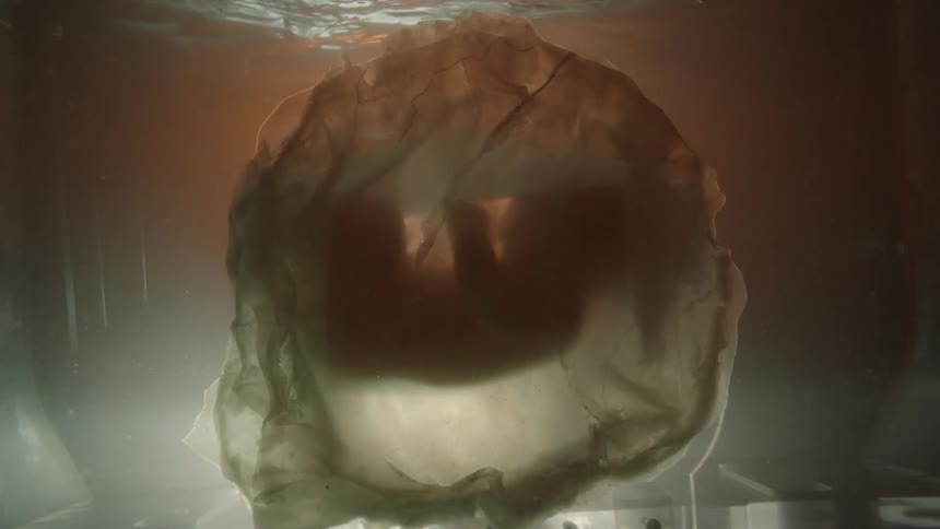 A baby in a white sac with white light moving in and out of the shot