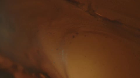 Tissue and fluid in a patients body are shown through a medical procedure with a camera