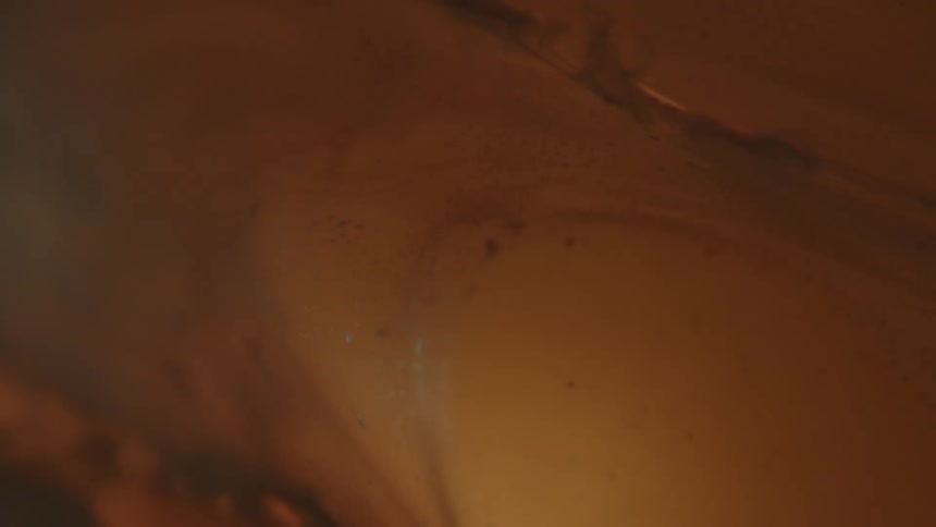 Tissue and fluid in a patients body are shown through a medical procedure with a camera