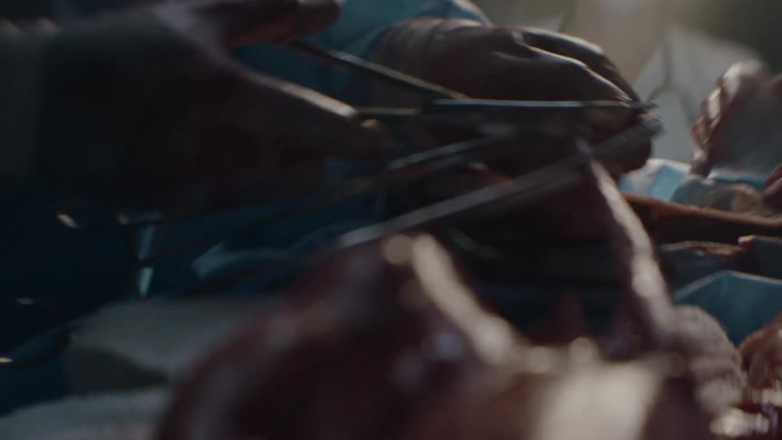 An obstetrician cutting the umbilical cord of a newborn after delivery